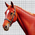 using-12-lead-ecg-to-locate-premature-heartbeats-in-horses