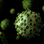 cancer-drug-reduces-siv-reservoir-in-macaques,-may-inform-hiv-cure-strategies