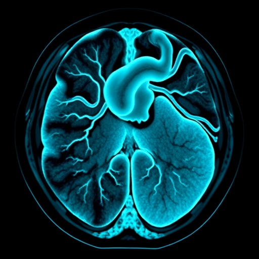 variational-autoencoders-detect-coronary-artery-disease-in-spect-images