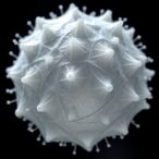 antimicrobial-pva-silver-nanoparticle-zeolite-nanofibers-developed-for-wound-dressings