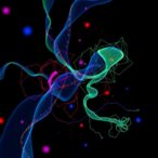 multi-modal-data-integration-uncovers-predictive-biomarkers-for-ovarian-cancer