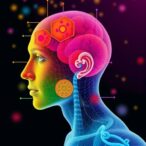 study-maps-tissue-specific-aging-trajectories-across-the-human-body