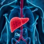 gut-bacteria-linked-to-severe-liver-disease,-researchers-discover