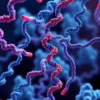 metacat-reconstructs-quality-microbial-genomes-and-links-them-to-host-traits