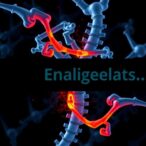 refractory-status-epilepticus-in-mexico:-clinical-features-and-management-from-102-patients