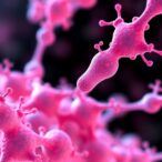 biomaterials-break-physical-barriers-to-boost-drug-delivery-in-tumors