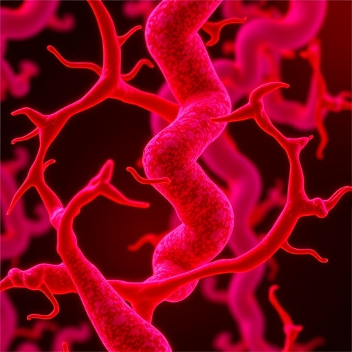 3′-sialyllactose-curbs-atherosclerosis-via-gut-immune-cardiovascular-axis-in-mice
