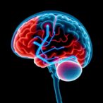 deep-brain-stimulation-eases-severe-tinnitus-over-two-years-of-follow-up