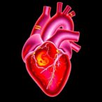 fusion-imaging-3d-printed-heart-models-aid-surgeons-more-than-imagers