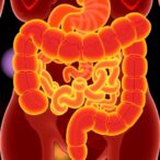 dha-eases-colitis-by-rebalancing-gut-microbes-and-repairing-the-gut-barrier