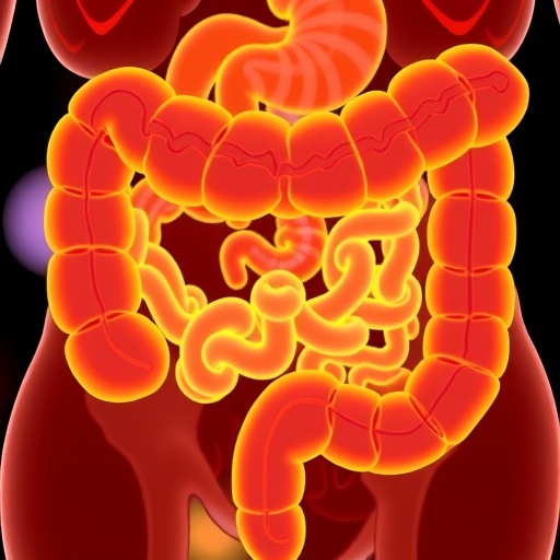 dha-eases-colitis-by-rebalancing-gut-microbes-and-repairing-the-gut-barrier