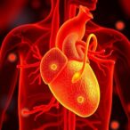 myeloid-nrf2-loss-speeds-atherosclerosis-by-boosting-inflammation-and-hindering-cell-clearance
