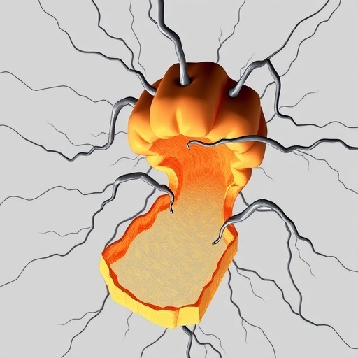 how-imperfect-absorption-shapes-first-passage-in-catastrophe-processes