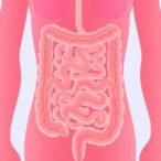 family-cancer-history-raises-risk-for-inflammatory-bowel-disease-patients