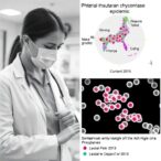 sentinel-surveillance-and-universal-pcr-screening-detect-local-mycoplasma-pneumoniae-epidemic