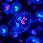 engineered-gitr-antibody-boosts-cd4-t-cell-dendritic-cell-teamwork-against-tumors