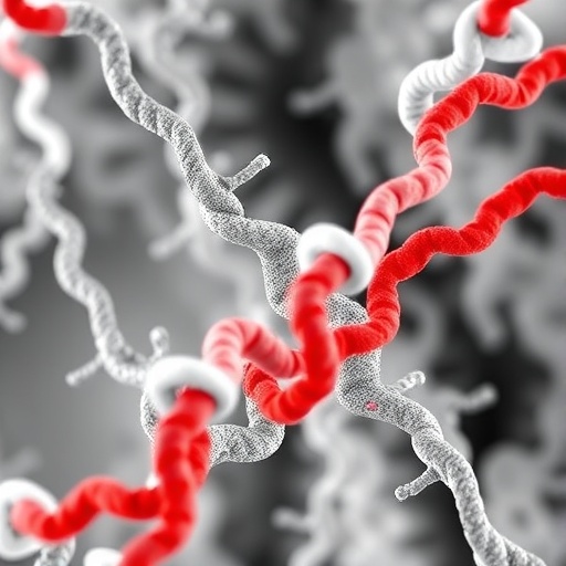unique-amyloid-β-filament-structure-found-in-app-flemish-mutation-carriers