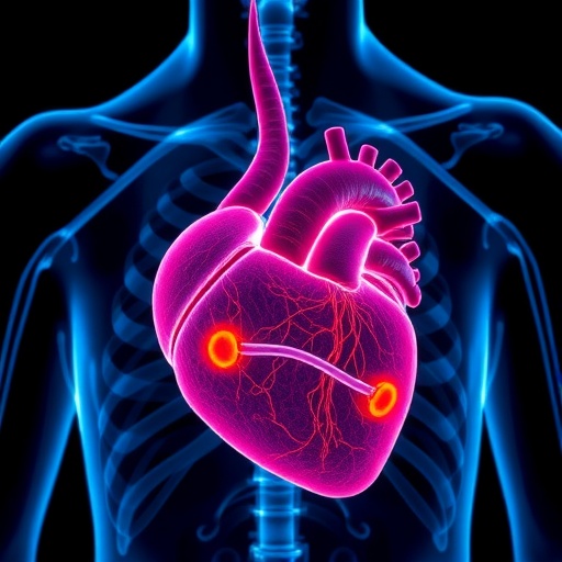 genetic-autopsy-findings-in-unexplained-sudden-cardiac-deaths-reviewed
