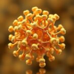 evolutionary-algorithm-reveals-stable-structures-of-gold-copper-clusters