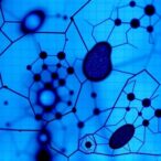 molecular-diagnosis-of-dermatomycosis-caused-by-non-dermatophyte-fungi