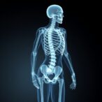 study-links-orthorexia,-body-image,-and-mood-to-postmenopausal-osteoporosis