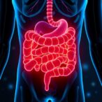 gut-microbiota-metabolites-show-promise-against-disc-degeneration