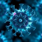 arthropod-specific-rna-virus-discovered-to-boost-host-stress-adaptation