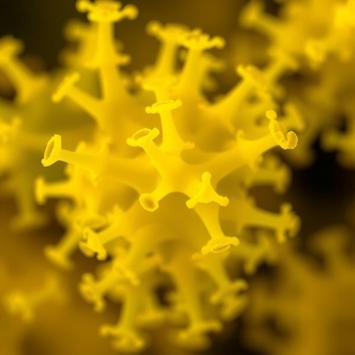 new-bacillus-cereus-strain-from-refinery-sludge-shows-ethanol-production-and-stress-tolerance