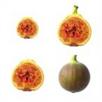 genetic-and-morphological-diversity-revealed-in-mediterranean-fig-genotypes