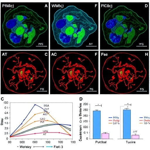 microwave-ablation-plus-anti-lag-3-boosts-cd8+-t-cell-antitumor-immunity