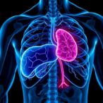 disitamab-vedotin-shows-phase-3-benefit-in-her2-positive-breast-cancer-liver-metastases