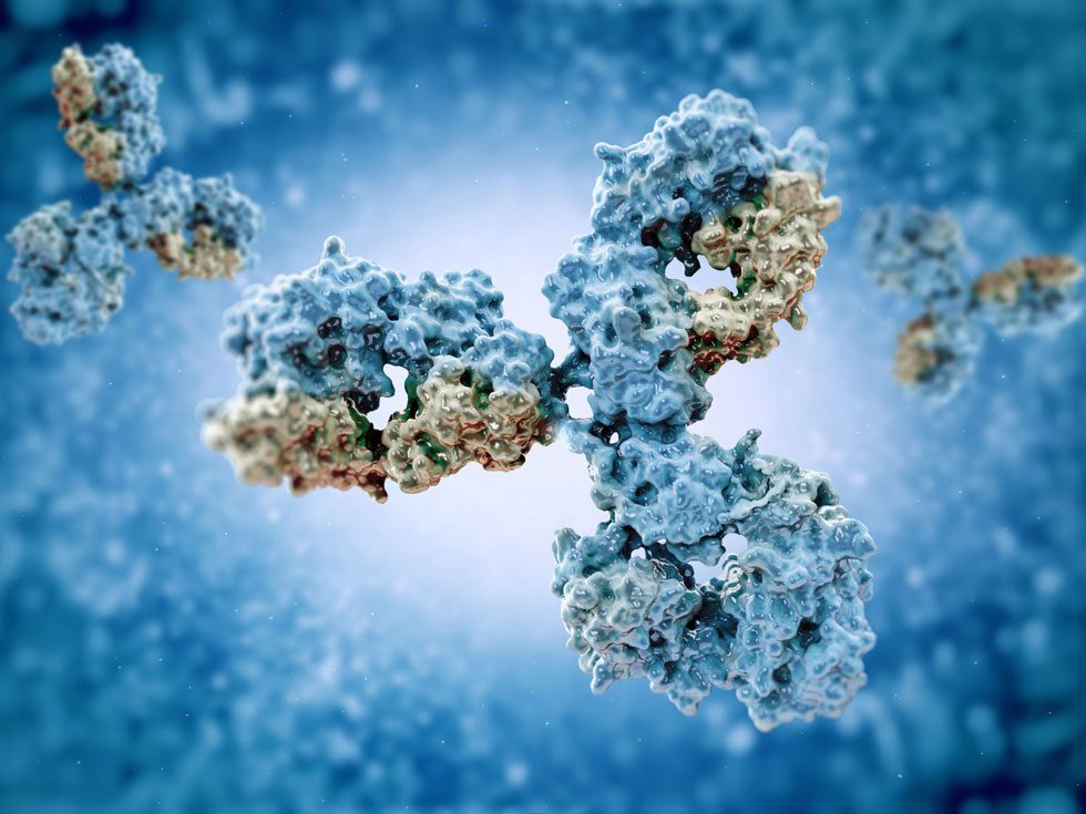 the-multi-attribute-method-(mam)-as-a-biologics-lifecycle-backbone