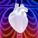 new-polycarbonate-polyurethanes-show-promise-for-durable-polymer-mitral-valves