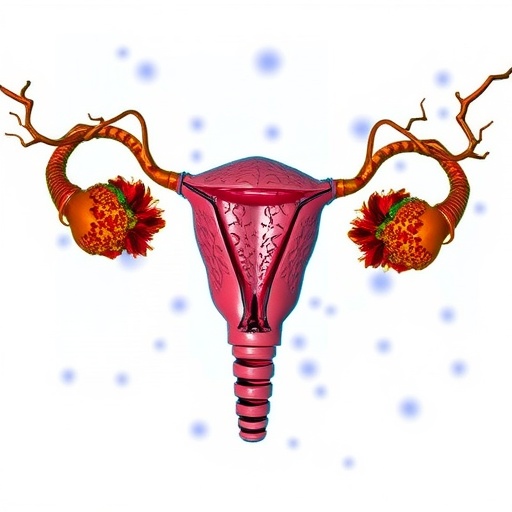 galaxamide-protects-mouse-uterus-from-cisplatin-injury-via-anti-inflammatory-effects