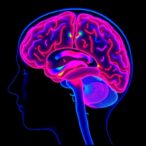 pet-imaging-reveals-cholinergic-brain-changes-after-cognitive-training-in-older-adults