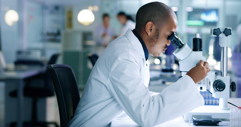 increasing-cho-cell-productivity
