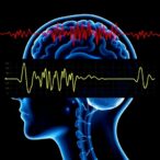 validating-waveform-metrics-of-intracranial-compliance-and-pulsatile-dynamics