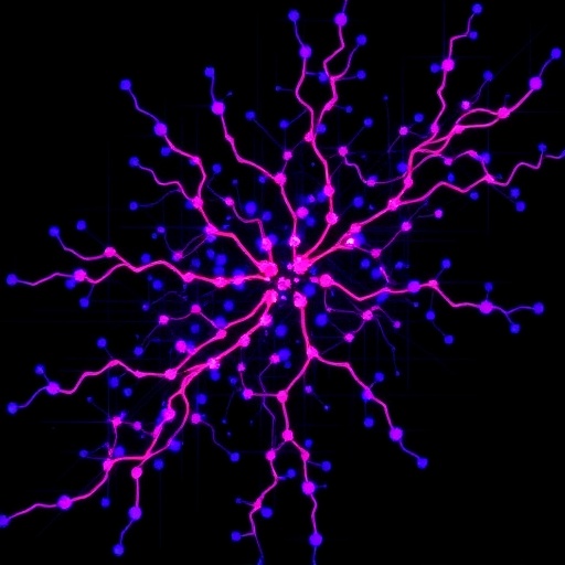 single-cell-maps-reveal-how-enhancers-regulate-their-target-genes