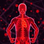 how-systemic-inflammation-drives-muscle-dysfunction-in-copd-exercise