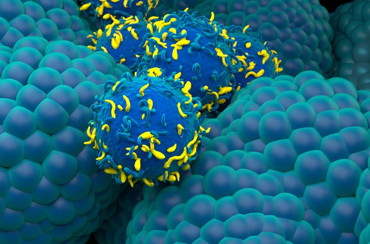 car-t-manufacturing-in-japan-gets-boost-from-teijin-shinshu-university-research-collaboration