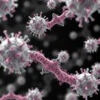 mapping-fosfomycin-resistance-genes-across-staphylococcal-genomes