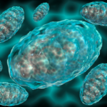 chronic-interferon-exposure-linked-to-immunosuppression-in-cancer