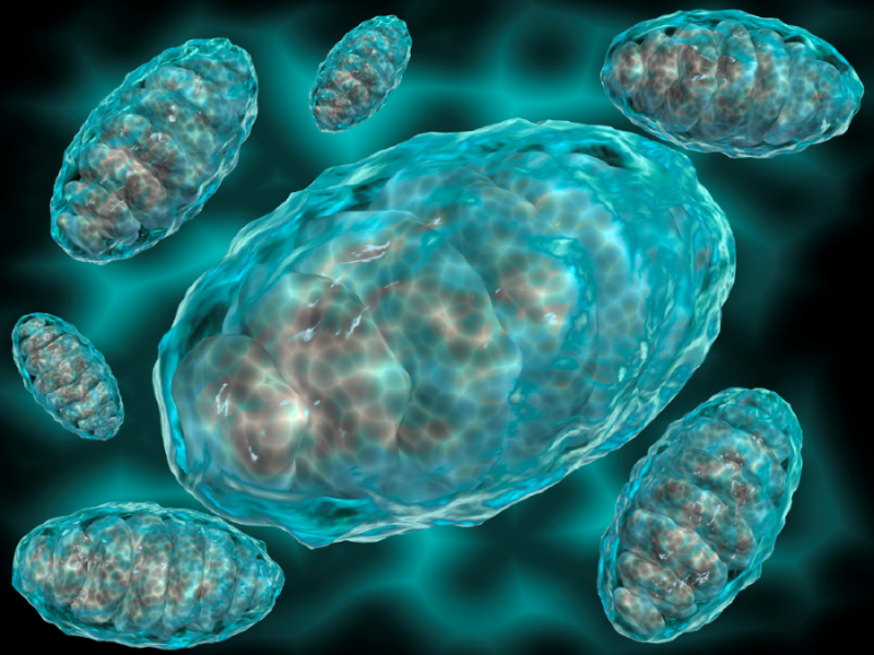 chronic-interferon-exposure-linked-to-immunosuppression-in-cancer