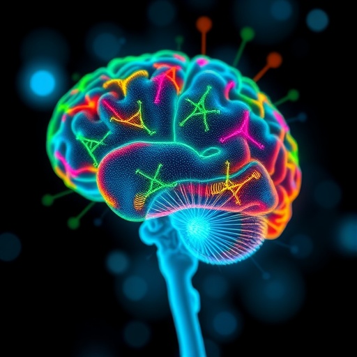 plasma-multi-omic-signatures-distinguish-mild-cognitive-impairment-from-pre-frailty