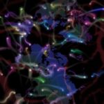 cloudscope-enables-continuous-remote-monitoring-of-brain-activity-in-freely-moving-mice