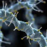 genetic-suppressors-rescue-tubulin-mutations-and-restore-microtubule-dynamics