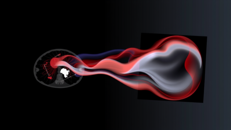 ai-framework-aligns-scanning-medical-images-by-separating-motion-from-contrast-flow
