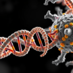 cryo-em-reveals-how-cas12a-uses-a-dna-guide-to-hunt-rna-targets