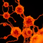 spiffi-delivers-real-time-super-resolution-imaging-of-living-cells-in-a-single-shot