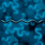 one-amino-acid-decides-whether-mitochondria-keep-their-protein-machines-intact